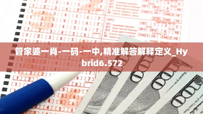 管家婆一肖-一码-一中,精准解答解释定义_Hybrid6.572