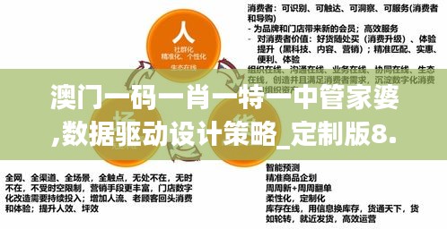 澳门一码一肖一特一中管家婆,数据驱动设计策略_定制版8.317