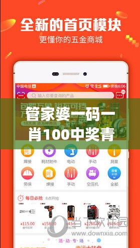 管家婆一码一肖100中奖青岛,数据解答解释定义_超级版8.120