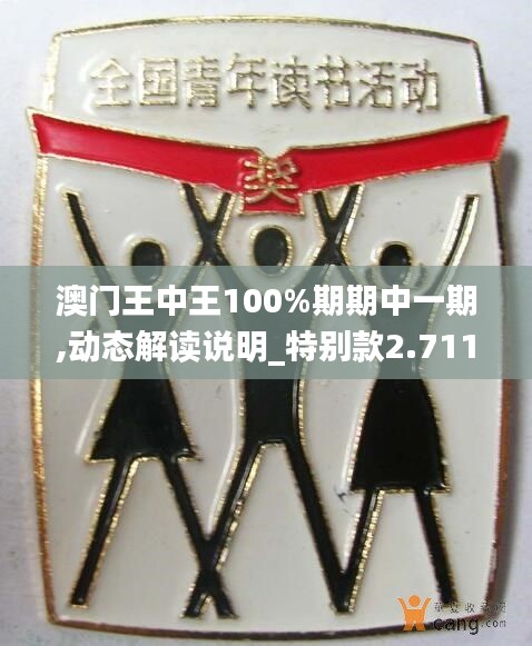 澳门王中王100%期期中一期,动态解读说明_特别款2.711
