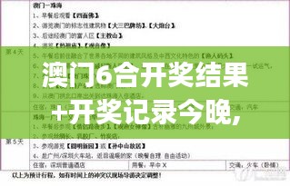 澳门6合开奖结果+开奖记录今晚,经典案例解释定义_入门版1.353