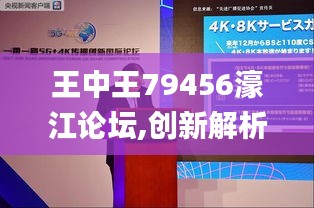 王中王79456濠江论坛,创新解析执行策略_网页版10.141
