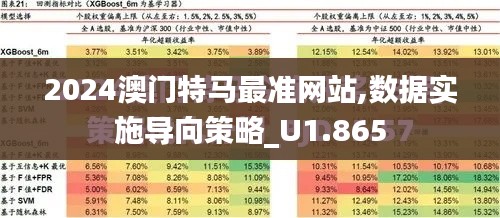 2024澳门特马最准网站,数据实施导向策略_U1.865