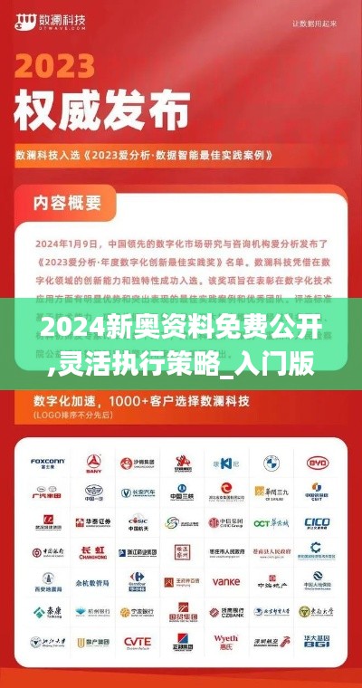 2024新奥资料免费公开,灵活执行策略_入门版3.926