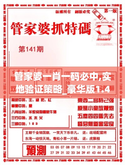 管家婆一肖一码必中,实地验证策略_豪华版1.462