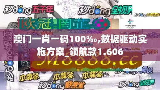 澳门一肖一码100‰,数据驱动实施方案_领航款1.606