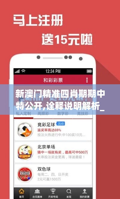 新澳门精准四肖期期中特公开,诠释说明解析_BT19.791