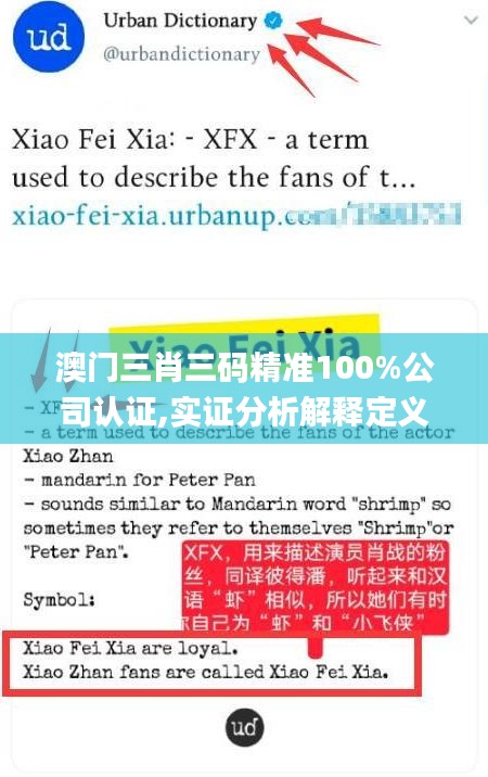 澳门三肖三码精准100%公司认证,实证分析解释定义_高级版8.559