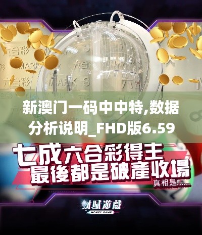 新澳门一码中中特,数据分析说明_FHD版6.596