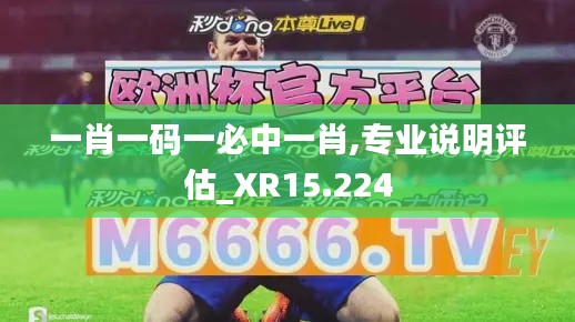 一肖一码一必中一肖,专业说明评估_XR15.224