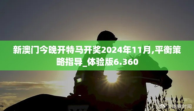 新澳门今晚开特马开奖2024年11月,平衡策略指导_体验版6.360