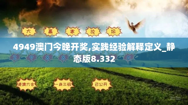 4949澳门今晚开奖,实践经验解释定义_静态版8.332