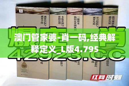 澳门管家婆-肖一码,经典解释定义_L版4.795