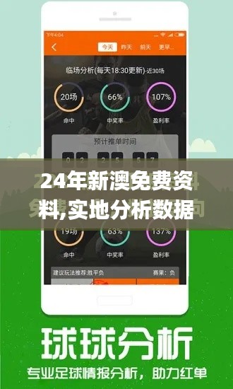 24年新澳免费资料,实地分析数据方案_复刻版13.363