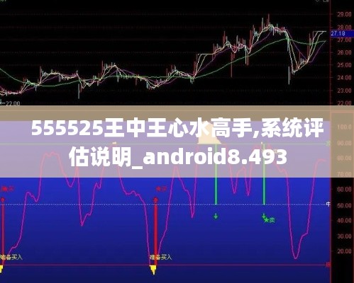 555525王中王心水高手,系统评估说明_android8.493