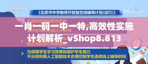 一肖一码一中一特,高效性实施计划解析_vShop8.813