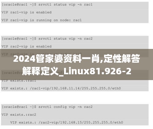 2024管家婆资料一肖,定性解答解释定义_Linux81.926-2
