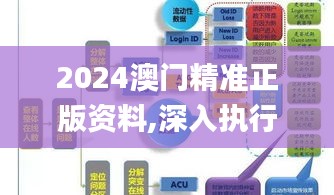 2024澳门精准正版资料,深入执行计划数据_QHD31.265-9