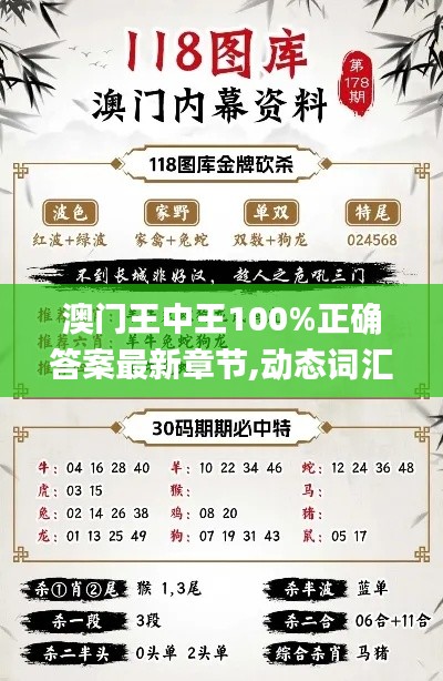 澳门王中王100%正确答案最新章节,动态词汇解析_HarmonyOS82.815-2