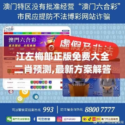 江左梅郎正版免费大全二肖预测,最新方案解答_tool81.173-6
