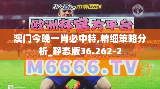 澳门今晚一肖必中特,精细策略分析_静态版36.262-2
