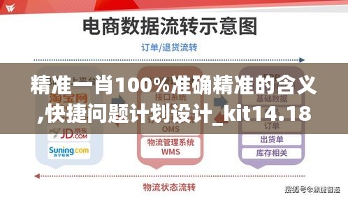 精准一肖100%准确精准的含义,快捷问题计划设计_kit14.187-6