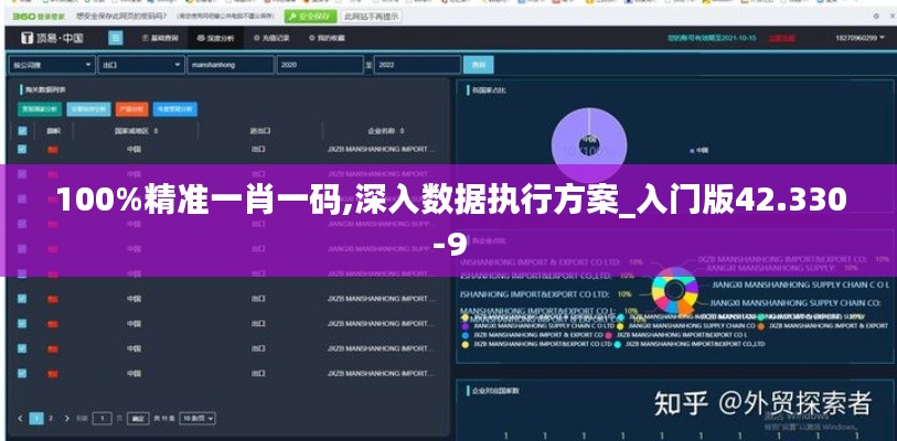 100%精准一肖一码,深入数据执行方案_入门版42.330-9
