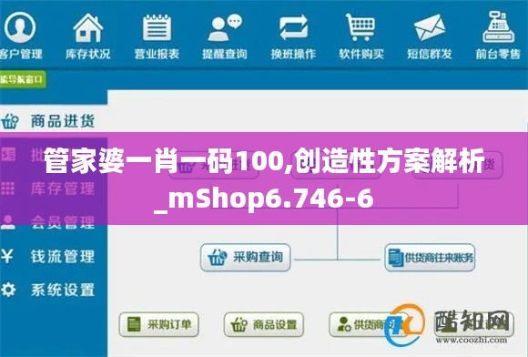 管家婆一肖一码100,创造性方案解析_mShop6.746-6