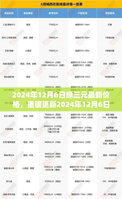 揭秘，2024年12月6日绿三元硬币最新价格，你手中的硬币价值如何？