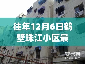 往年12月6日鹤壁珠江小区最新动态与热议解读