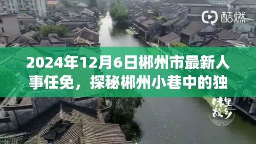 郴州市人事任免背后的故事，独特风味小巷与一家特色小店的探秘之旅