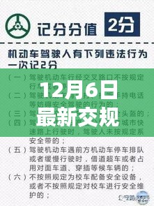 深度解读，最新交规实施细节与驾驶安全指南（8月1日实施，12月最新更新）