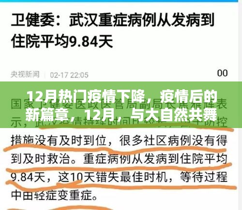 疫情后的新篇章，与大自然的共舞，寻找内心的宁静在十二月来临之际
