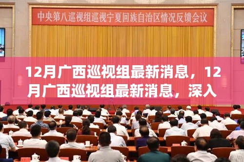 12月广西巡视组最新动态，深入探访与解读