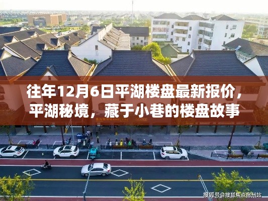 平湖秘境，楼盘最新报价与小巷故事及特色小店的独特魅力揭晓