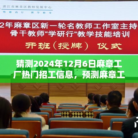 2024年12月6日麻章工厂热门招工信息及趋势预测