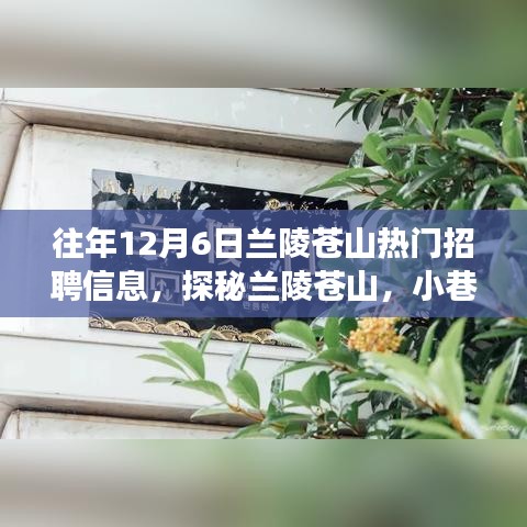 揭秘兰陵苍山热门招聘信息背后的故事，探寻特色小店与招聘热潮的交汇点