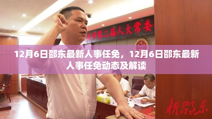 邵东最新人事任免动态及解读（12月6日）