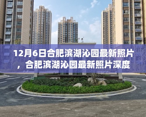 12月6日合肥滨湖沁园最新照片，合肥滨湖沁园最新照片深度评测，特性、体验、竞品对比与用户分析