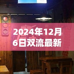 探秘双流小巷宝藏小店，揭秘最新房价与独特环境魅力
