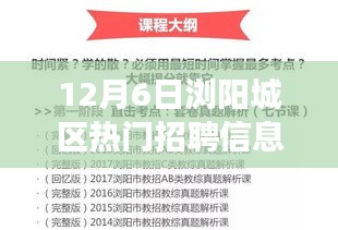 揭秘浏阳城区热门招聘内幕，职场黄金机遇与挑战（最新更新）