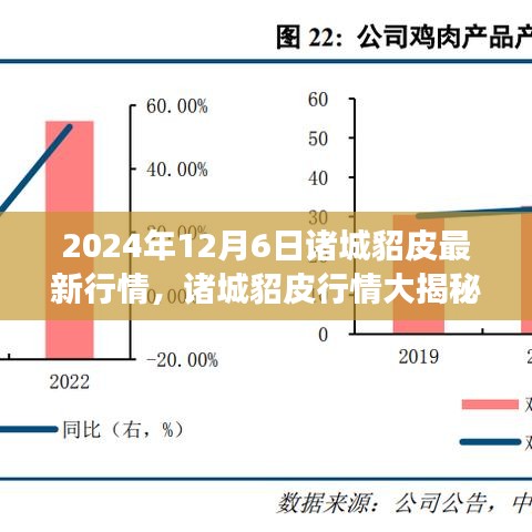 时尚潮流下的诸城貂皮市场走势揭秘，最新行情动态与趋势分析