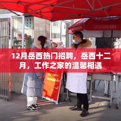 岳西十二月热门招聘，工作之家的温馨相遇
