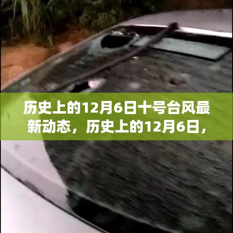 揭秘历史12月6日台风十号最新动态，深度解读小红书热议话题