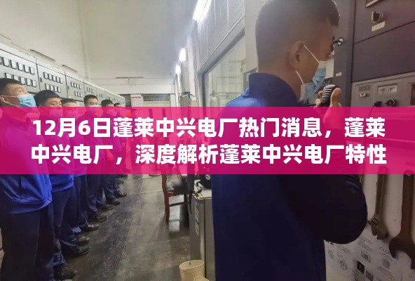 蓬莱中兴电厂深度解析与用户体验，最新热门消息速递