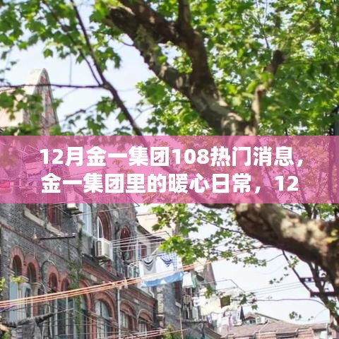 金一集团暖心日常与奇遇记，揭秘十二月热门消息内幕