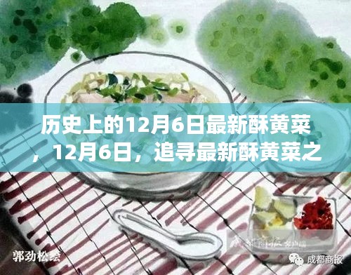 历史上的12月6日最新酥黄菜，12月6日，追寻最新酥黄菜之旅，与自然美景的不解之缘