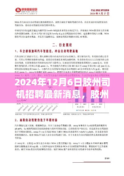 胶州司机招聘最新消息速递，洞悉行业趋势与发展前景