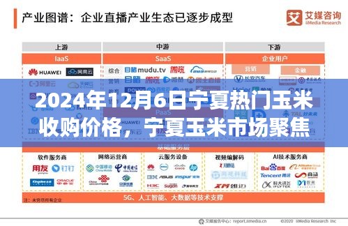 2024年12月6日宁夏热门玉米收购价格，宁夏玉米市场聚焦，探寻2024年12月6日玉米收购价格的波澜起伏