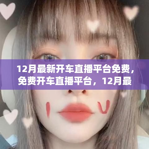 12月最新免费开车直播平台，网络驾驶体验的新风潮
